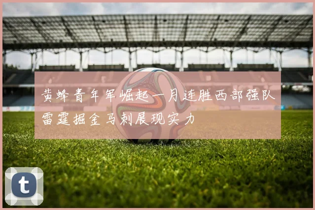 黄蜂青年军崛起一月连胜西部强队雷霆掘金马刺展现实力