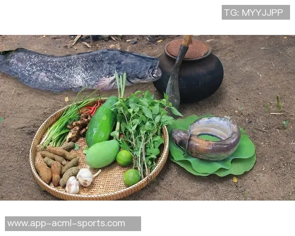 杨瀚森的日常生活:翻译工作与独自烹饪的简单乐趣 杨瀚森的日常生活:翻译工作与独自烹饪的简单乐趣