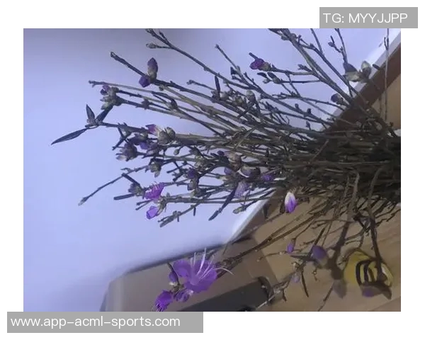 谢尔曼谈状态波动强调心态平和并随时准备上场比赛